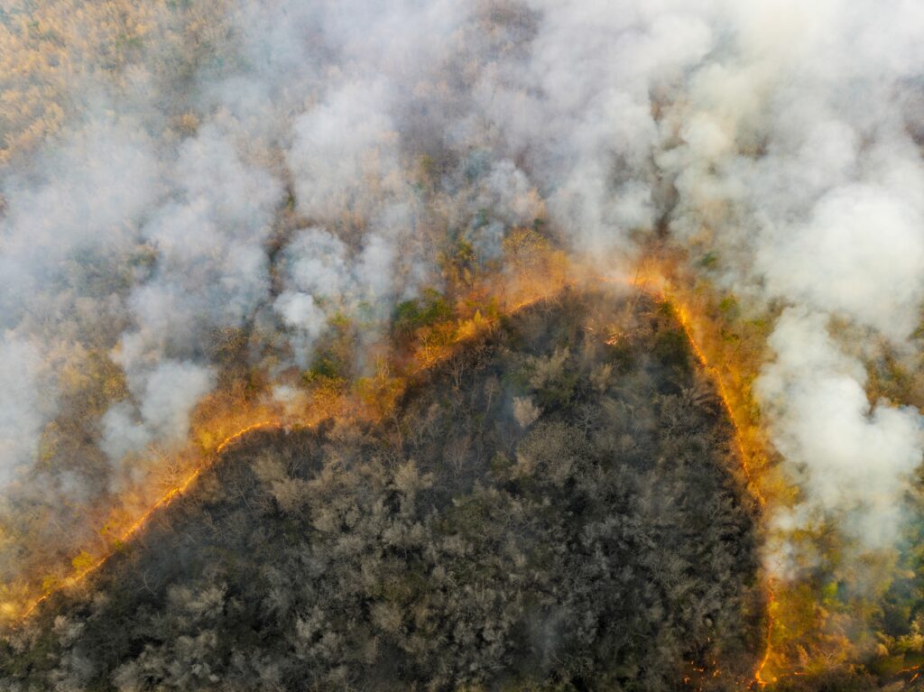 Wildfire releases carbon dioxide (CO2) emissions and other greenhouse gases (GHG) that contribute to climate change