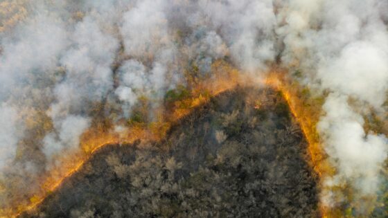 Wildfire releases carbon dioxide (CO2) emissions and other greenhouse gases (GHG) that contribute to climate change
