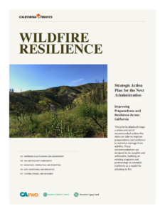 Wildfire Resilience: A Strategic Action Plan for the Next Administration